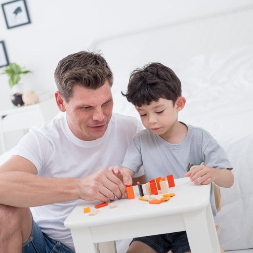 Plan Toys Mini Domino Wyścig Klocków 22el 3+