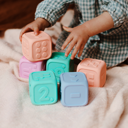 Jellystone Designs Kostki Edukacyjne Szałwia i Jagoda 9m+