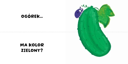 Czy to pasuje?  Kolory