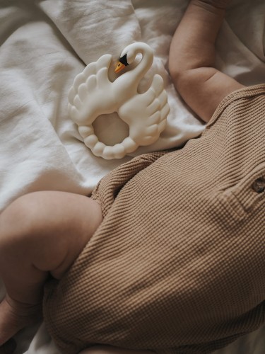 245_4.jpg