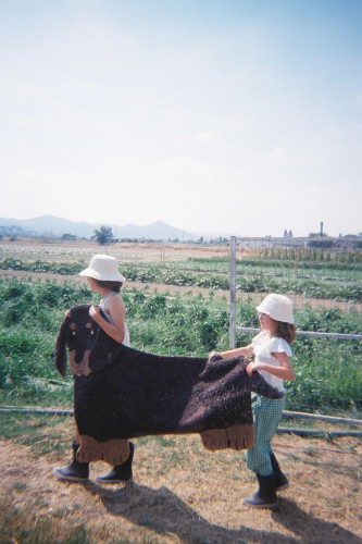 export_11659.jpg