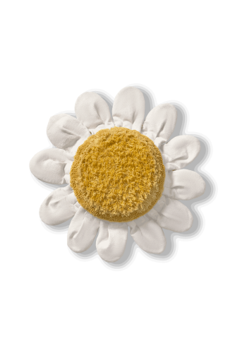 export_11675.jpg