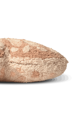 export_11692.jpg