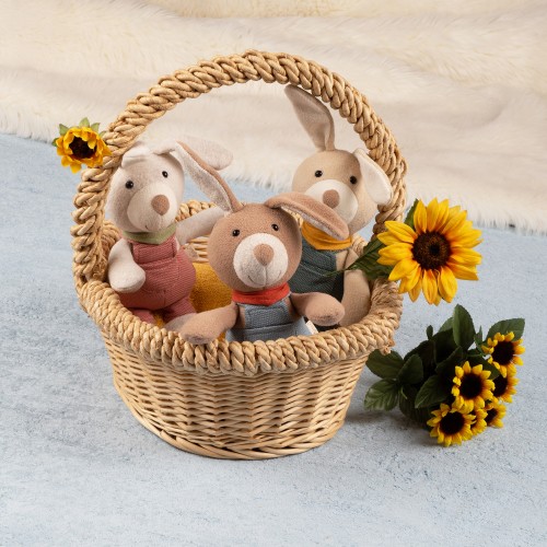 6846e973bc762-dungarees-cuddling-rabbit-red.jpeg