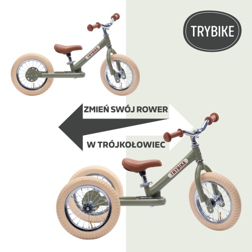TurnBikeIntoTrike.jpg