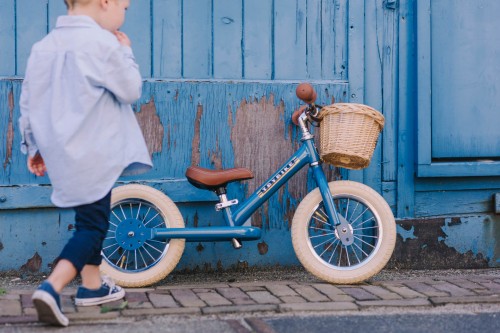 Trybike-54.jpg