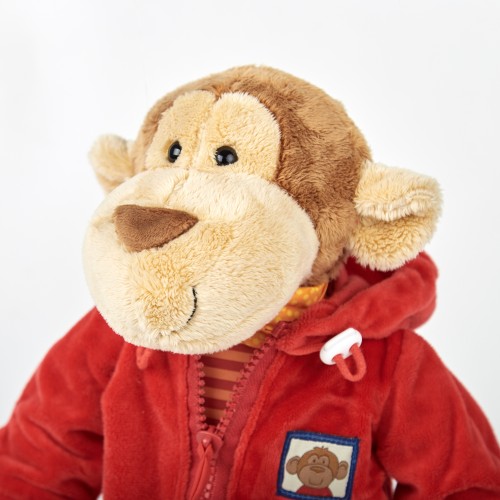 6846e7a78d66b-teaching-monkey.jpeg