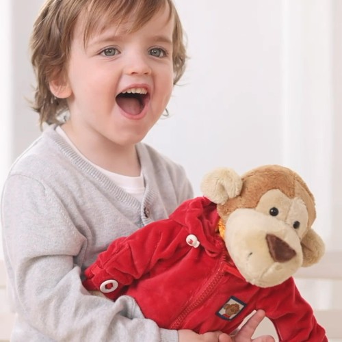 6846e7a791dad-teaching-monkey.jpeg