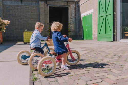 Trybike Pierwszy rowerek trójkołowy dziecięcy biegowy 2w1 różowy matowy 