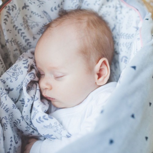 Rożek niemowlęcy BOTANIC - Pink no more - 0+