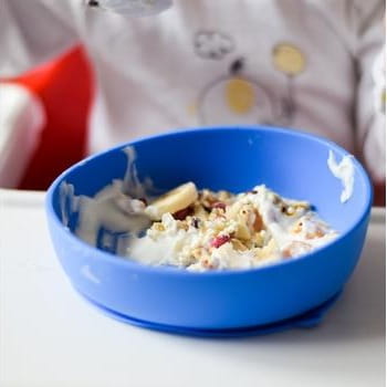 Munchkin Doidy Bowl Miseczka Niebieska