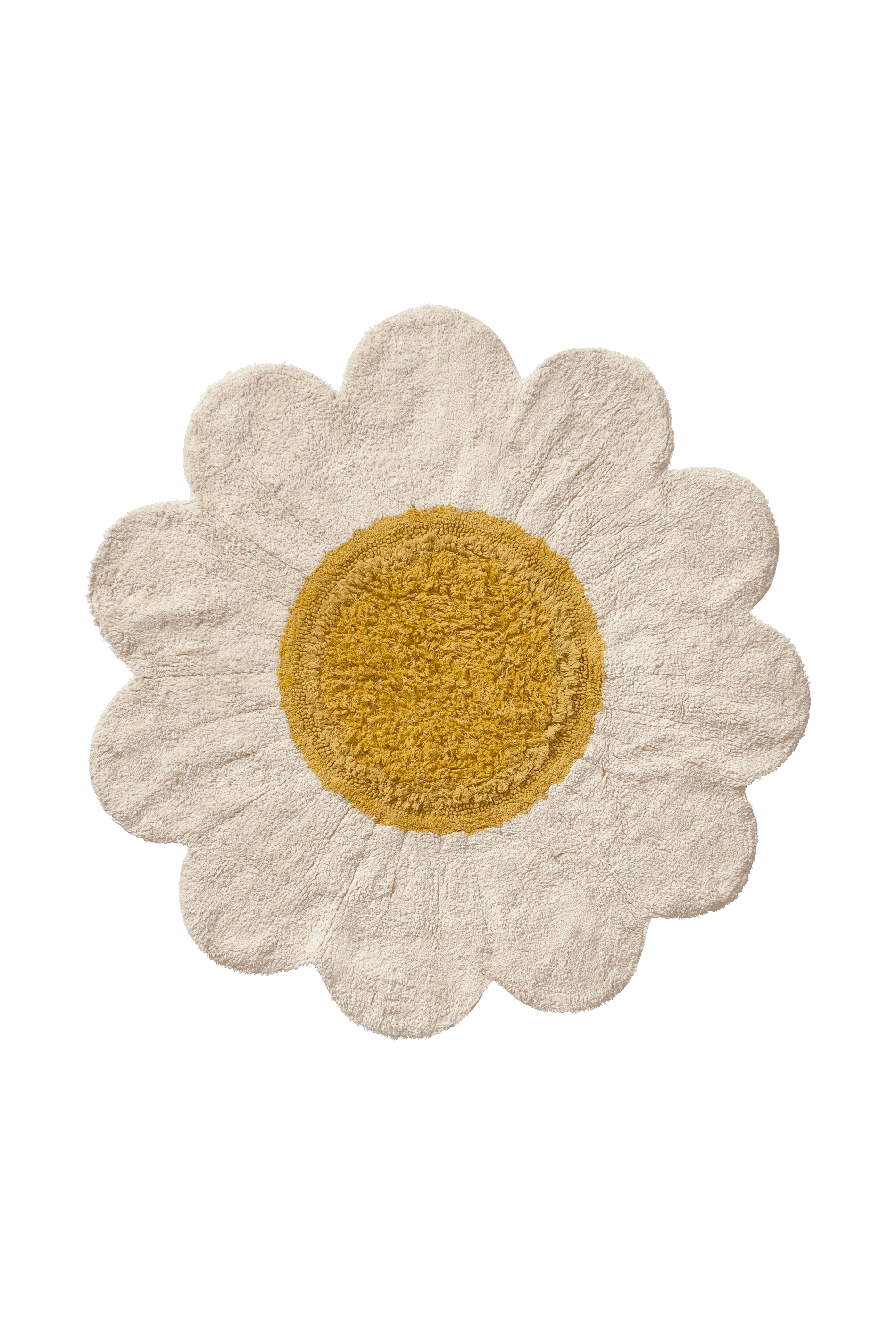 export_11646.jpg