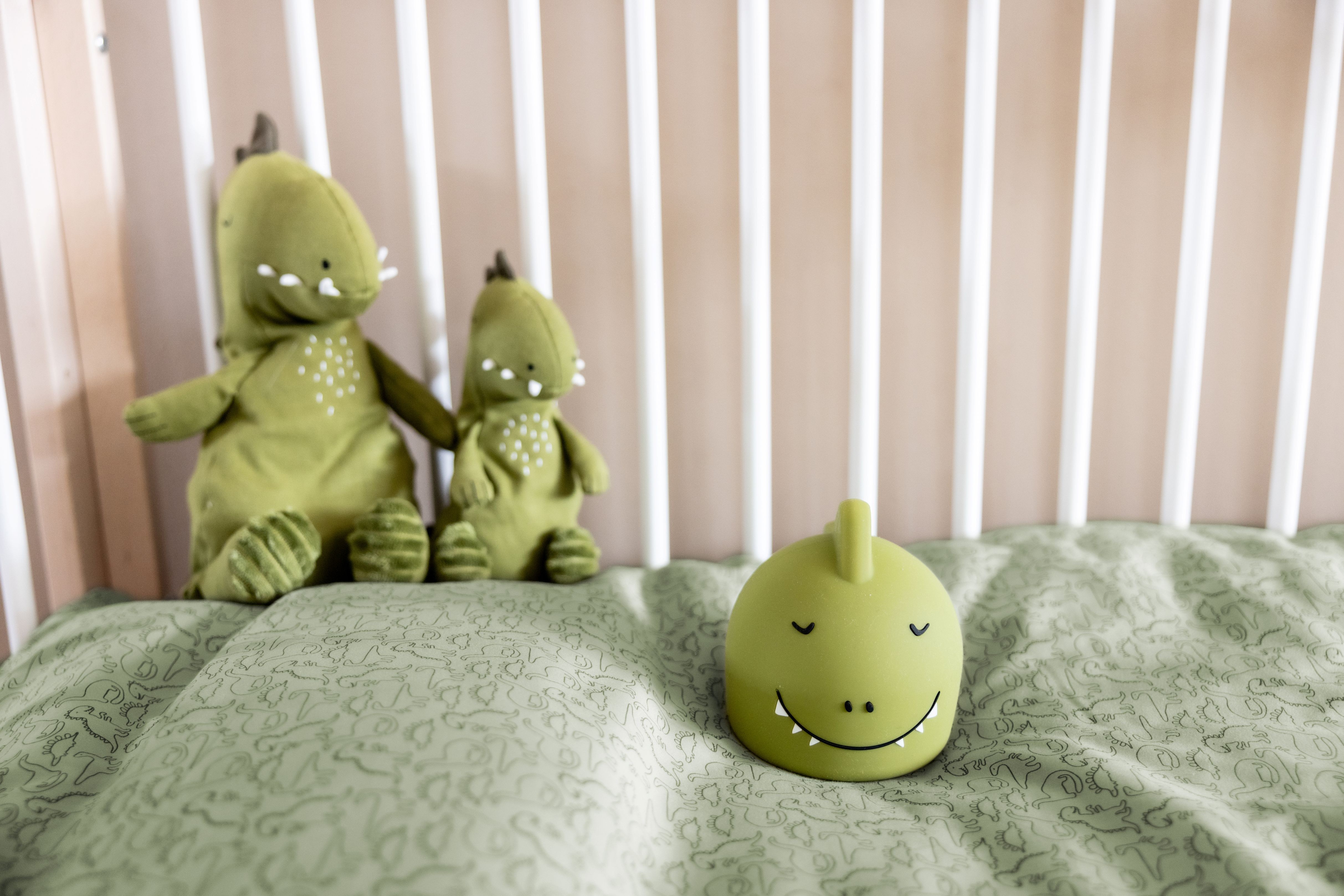 export_81054.jpg