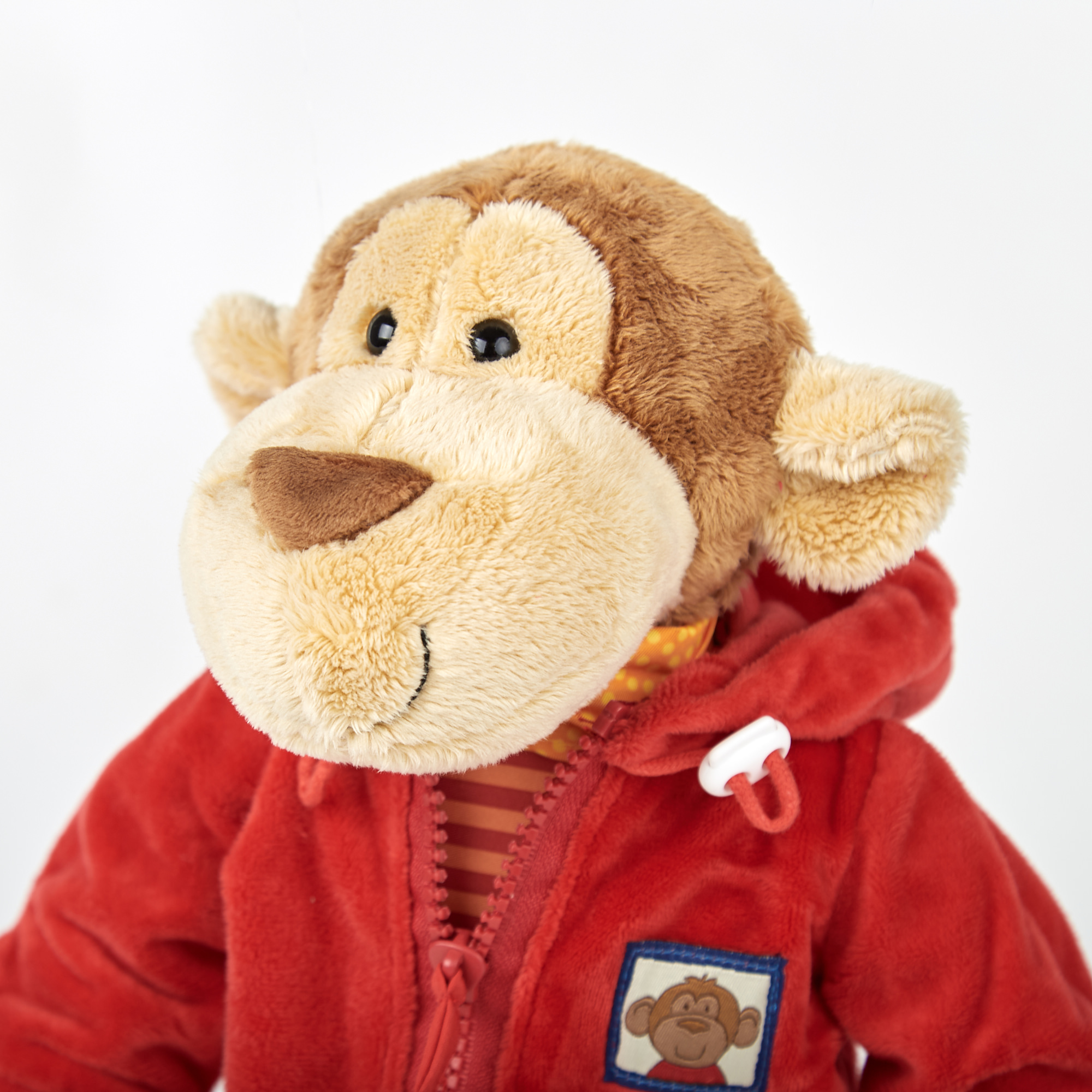 6846e7a78d66b-teaching-monkey.jpeg
